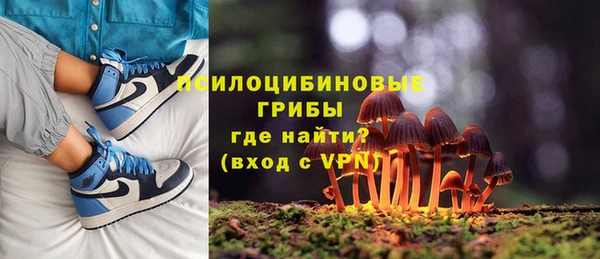 герыч Алексин