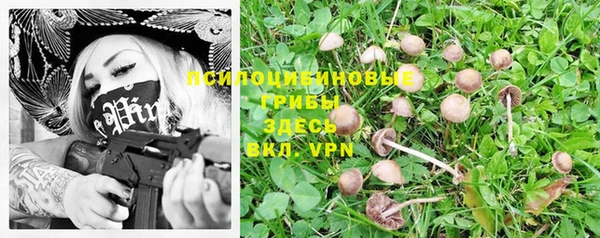 герыч Алексин